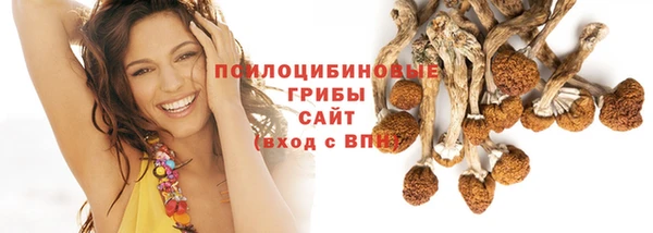 МДМА Белокуриха