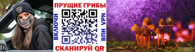 мориарти наркотические препараты  Кудымкар  Псилоцибиновые грибы Cubensis 